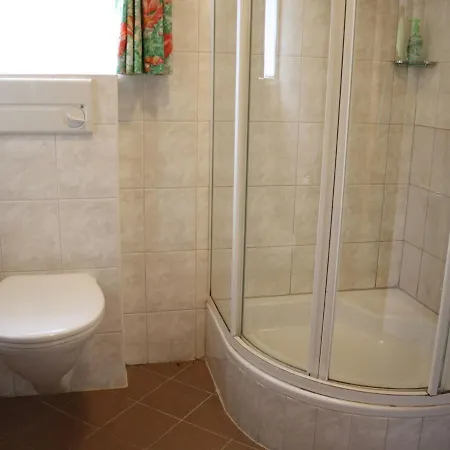 Near With Mountain View Apartament Flachau